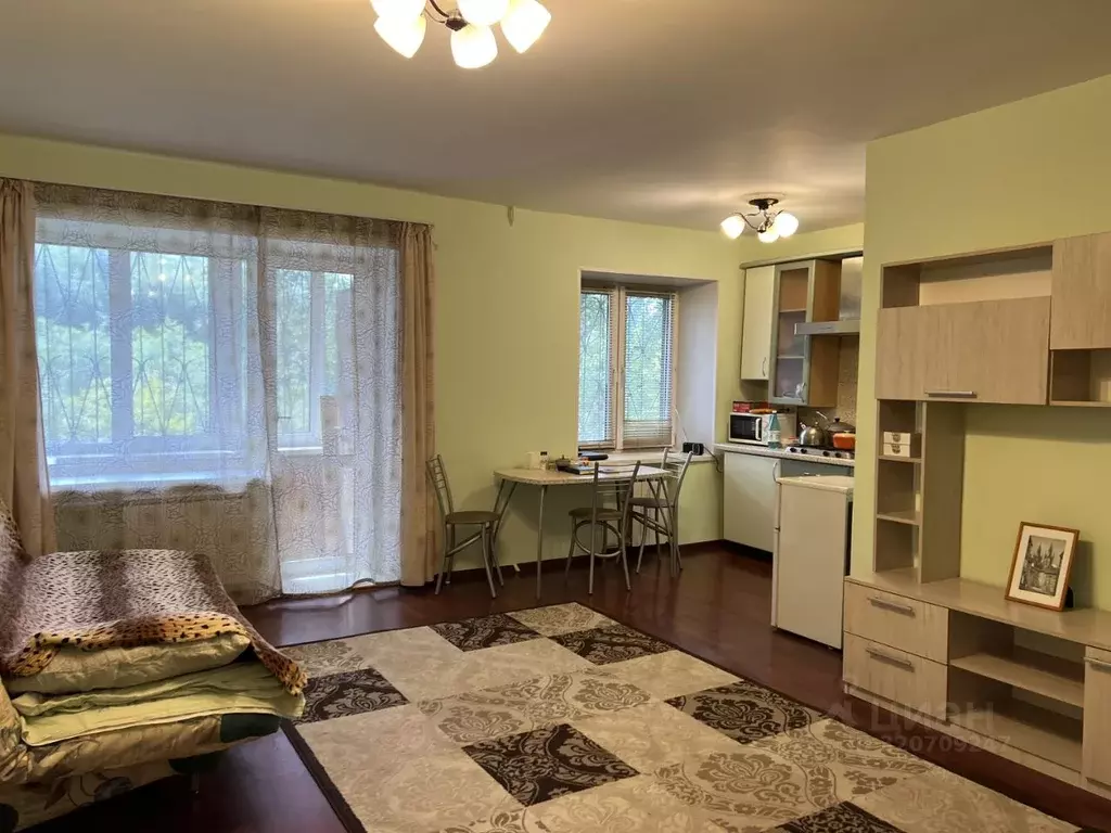 Студия Челябинская область, Челябинск ул. Либкнехта, 1 (30.0 м) - Фото 2