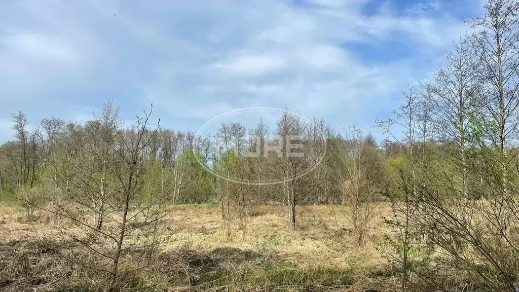 Участок в Калининградская область, Ладушкин  (8.0 сот.) - Фото 0