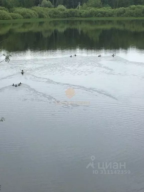 Участок в Московская область, Чехов городской округ, д. Сенино  (15.0 ... - Фото 0