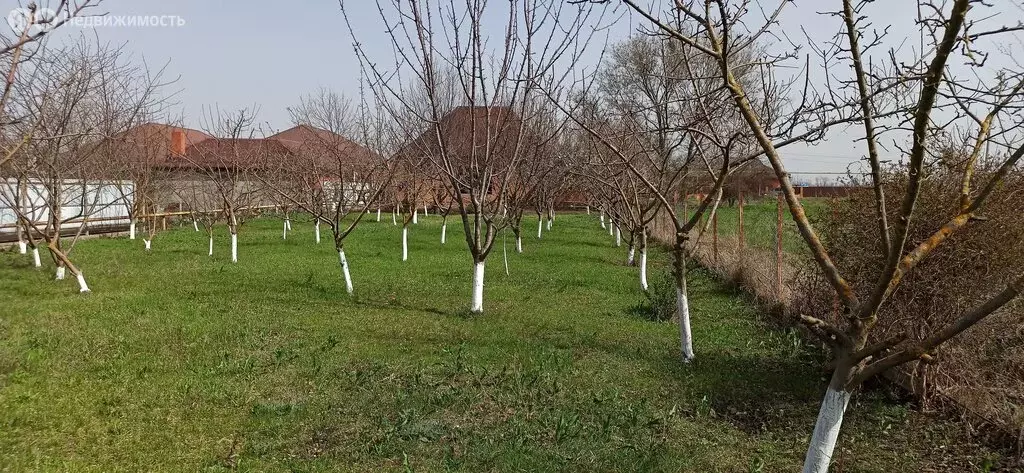 Дом в станица Выселки, Дачный переулок, 4 (81 м) - Фото 1