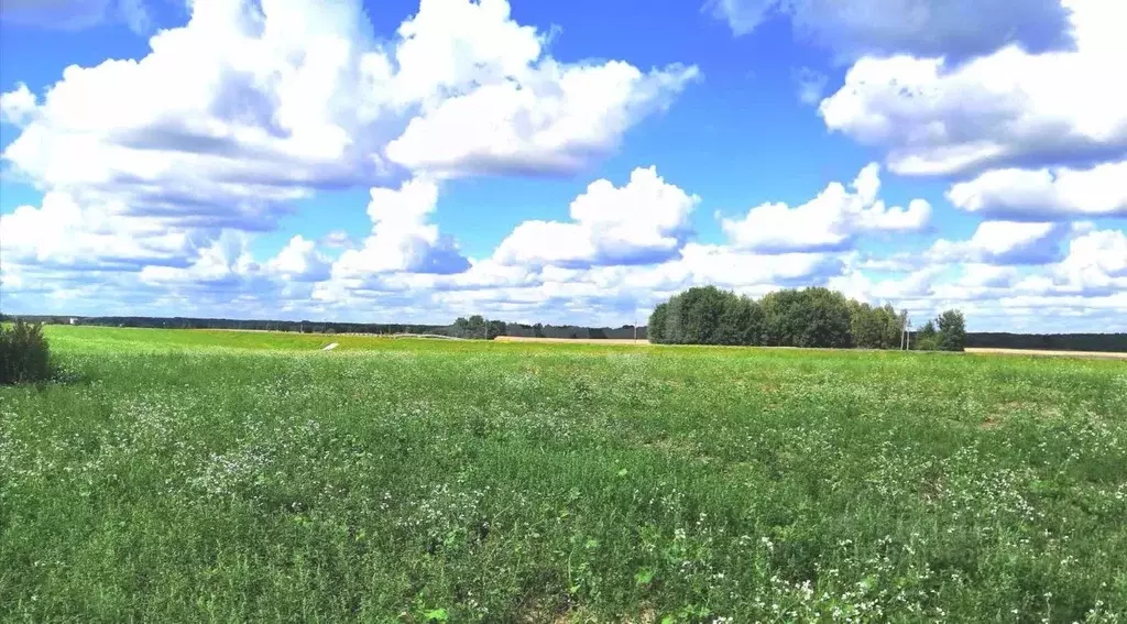 Участок в Брянская область, Унечский район А-240, 118-й км (24.0 сот.) - Фото 1