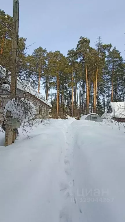 Участок в Пермский край, Пермь Ягодка-2 СНТ, 59 (5.0 сот.) - Фото 2