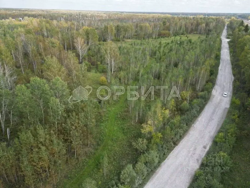 Участок в Тюменская область, Тюменский район, д. Ушакова, Молодежный ... - Фото 1