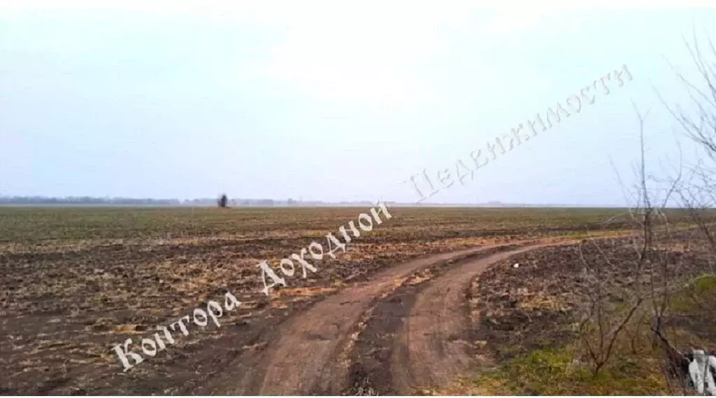 Участок в Батайск, Самарское шоссе (40 м) - Фото 1