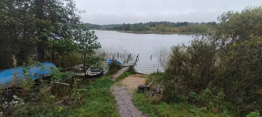 Участок в Карелия, Лахденпохский муниципальный округ, пос. Куянсуо  ... - Фото 1