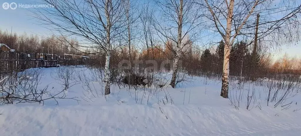 Участок в Челябинская область, Каслинский муниципальный округ, село ... - Фото 2