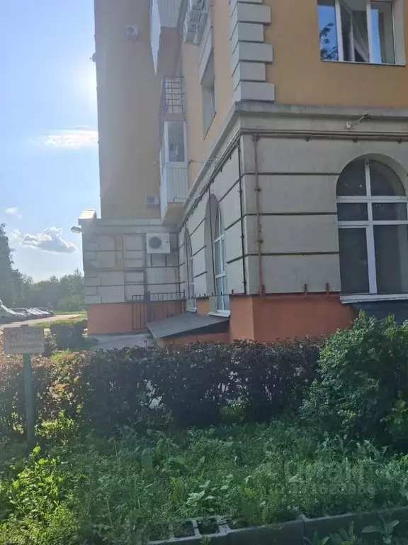 Помещение свободного назначения в Самарская область, Тольятти ... - Фото 1