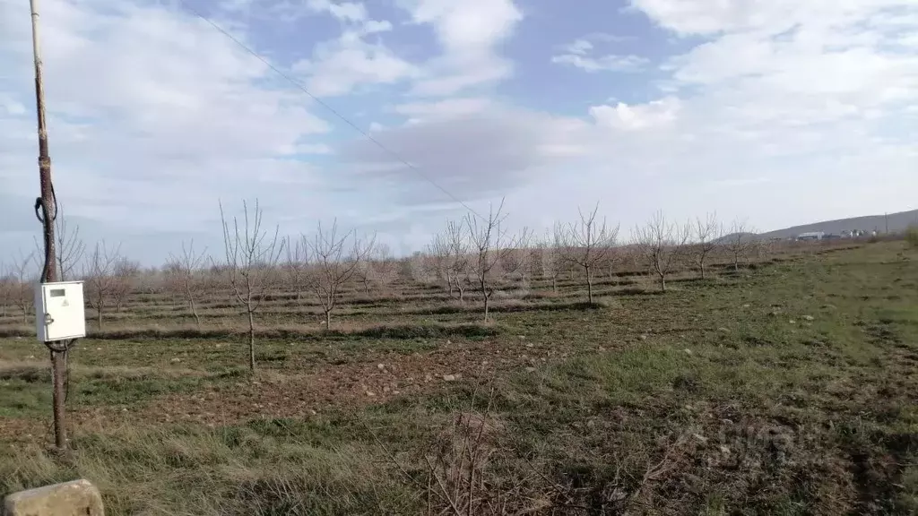 Участок в Крым, Кировский район, Первомайское с/пос, с. Изюмовка ул. ... - Фото 2