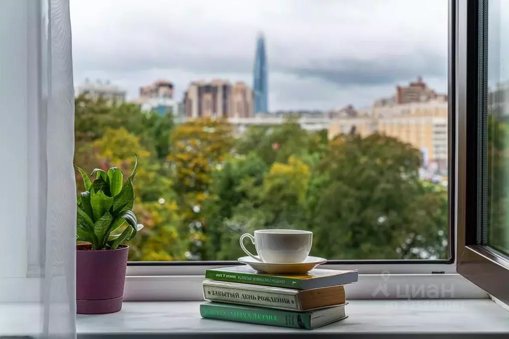 Студия Санкт-Петербург ул. Савушкина, 104 (26.4 м) - Фото 2