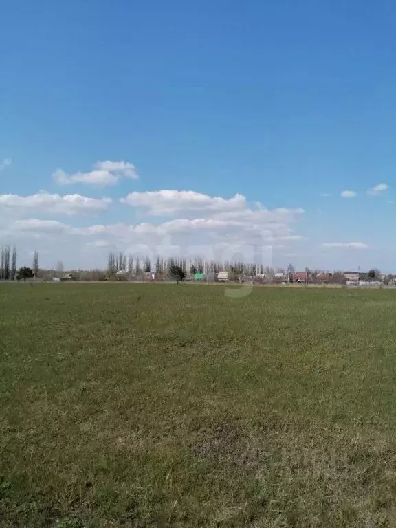 Участок в Воронежская область, Семилукское с/пос, с. Ендовище ул. ... - Фото 1
