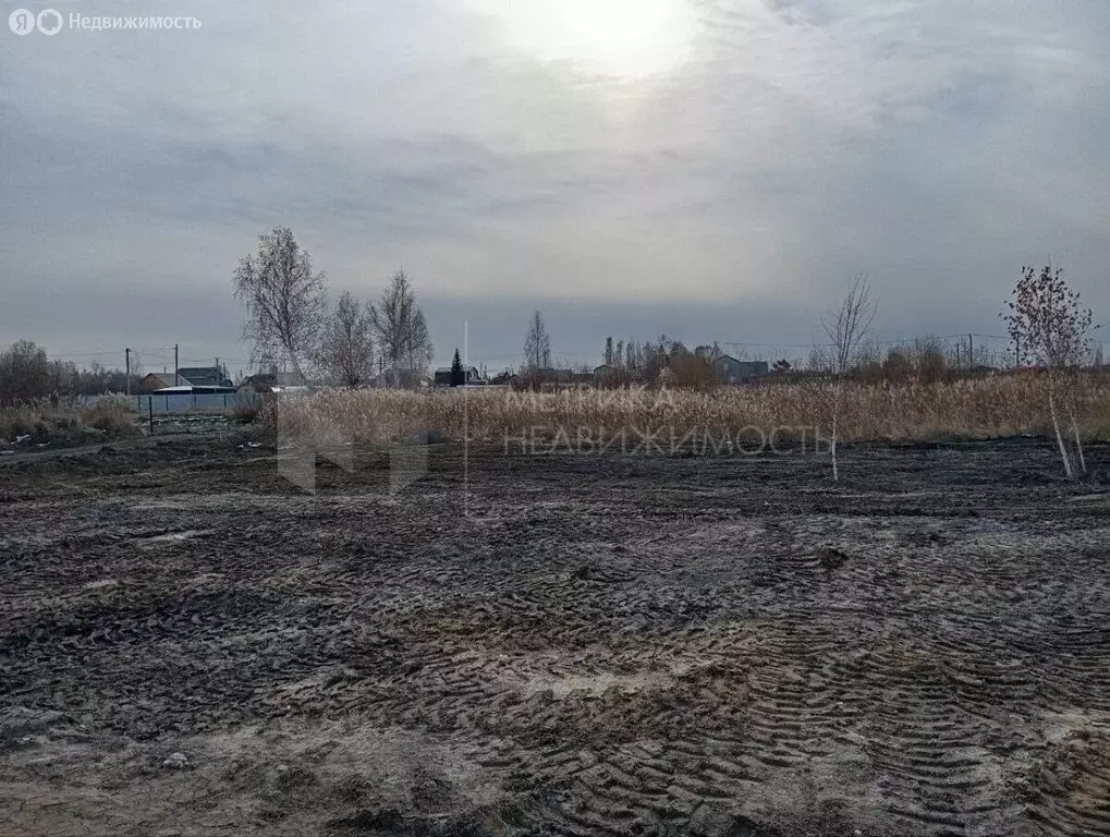 Участок в Тюмень, садовое товарищество Липовый Остров, 10-я Западная ... - Фото 1