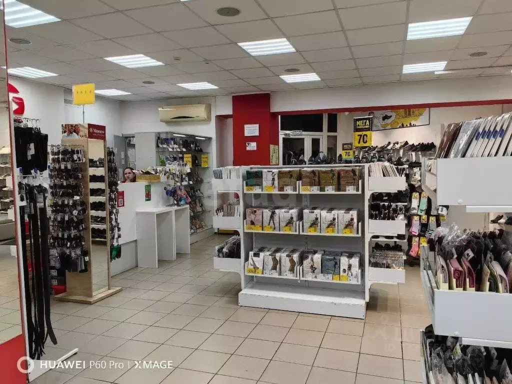 Торговая площадь в Башкортостан, Уфа ул. Ферина, 4 (277 м) - Фото 1