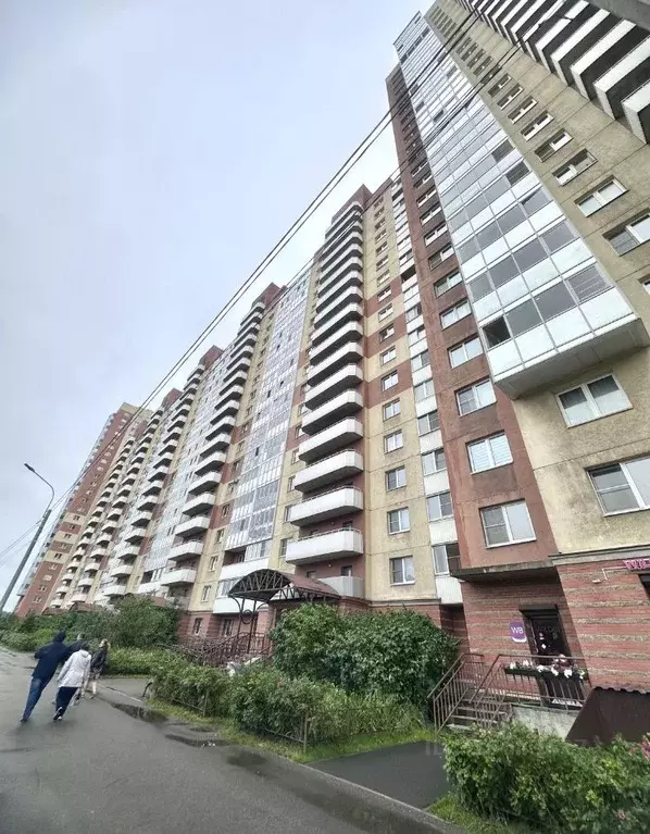 Студия Санкт-Петербург Дунайский просп., 55к1 (25.1 м) - Фото 0