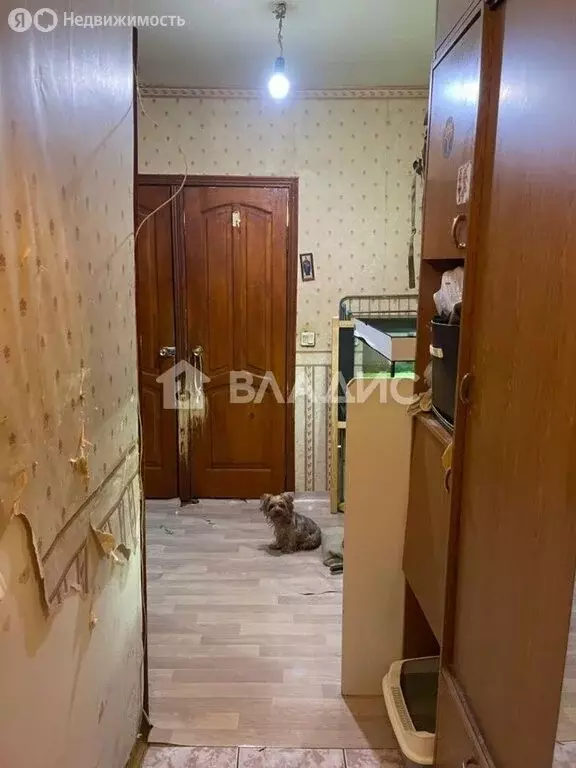 2-комнатная квартира: Москва, Дмитровское шоссе, 41к1 (47 м) - Фото 2