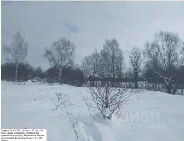 Участок в Московская область, Дмитровский муниципальный округ, д. ... - Фото 1