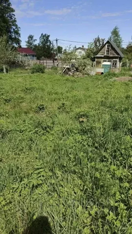 Участок в Ленинградская область, Ломоносовский район, Ропшинское ... - Фото 2