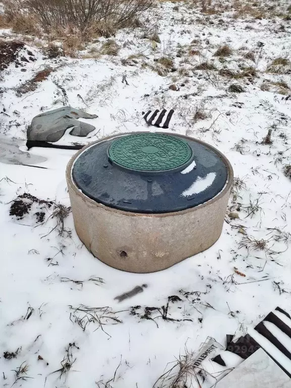 Дом в Новгородская область, Новгородский район, Трубичинское с/пос, д. ... - Фото 2