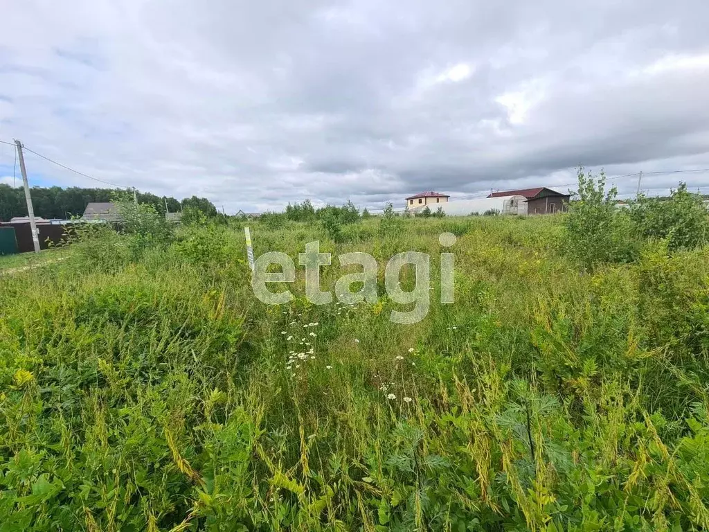 Участок в Владимирская область, Петушинский муниципальный округ, д. ... - Фото 2