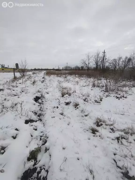 Участок в село Богана, Советская улица (35 м) - Фото 0