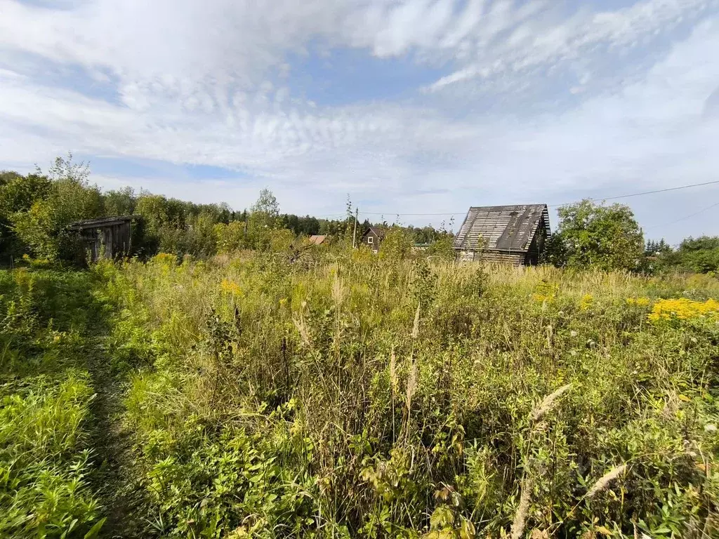 Участок в Ленинградская область, Кировский район, Мгинское городское ... - Фото 0