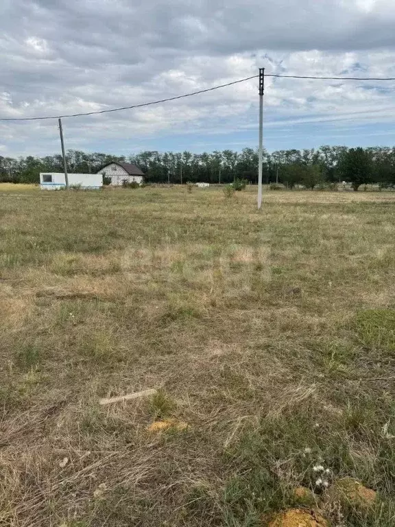 Участок в Ростовская область, Аксайский район, Рассветовское с/пос, ... - Фото 2