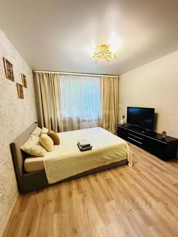 1-к кв. Новосибирская область, Новосибирск Линейная ул., 35/3 (35.0 м) - Фото 2