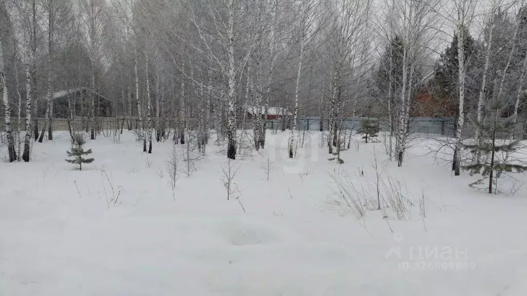 Участок в Тюменская область, Нижнетавдинский муниципальный округ, ... - Фото 1