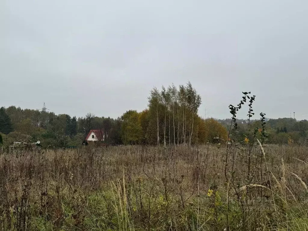 Участок в Московская область, Кашира городской округ, д. Сорокино  ... - Фото 1