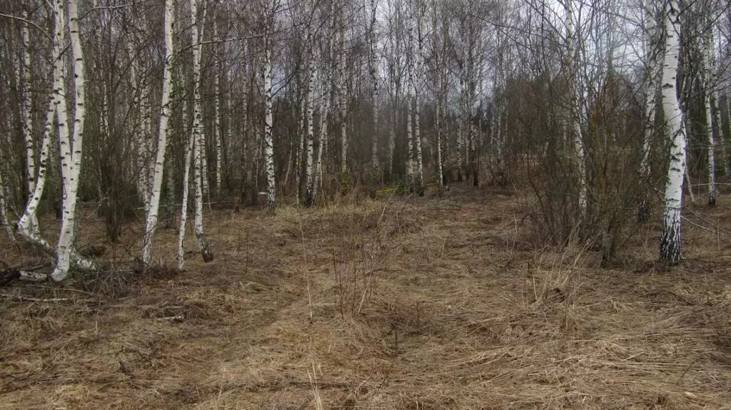 Участок в Московская область, Рузский муниципальный округ, д. Лобково  ... - Фото 0