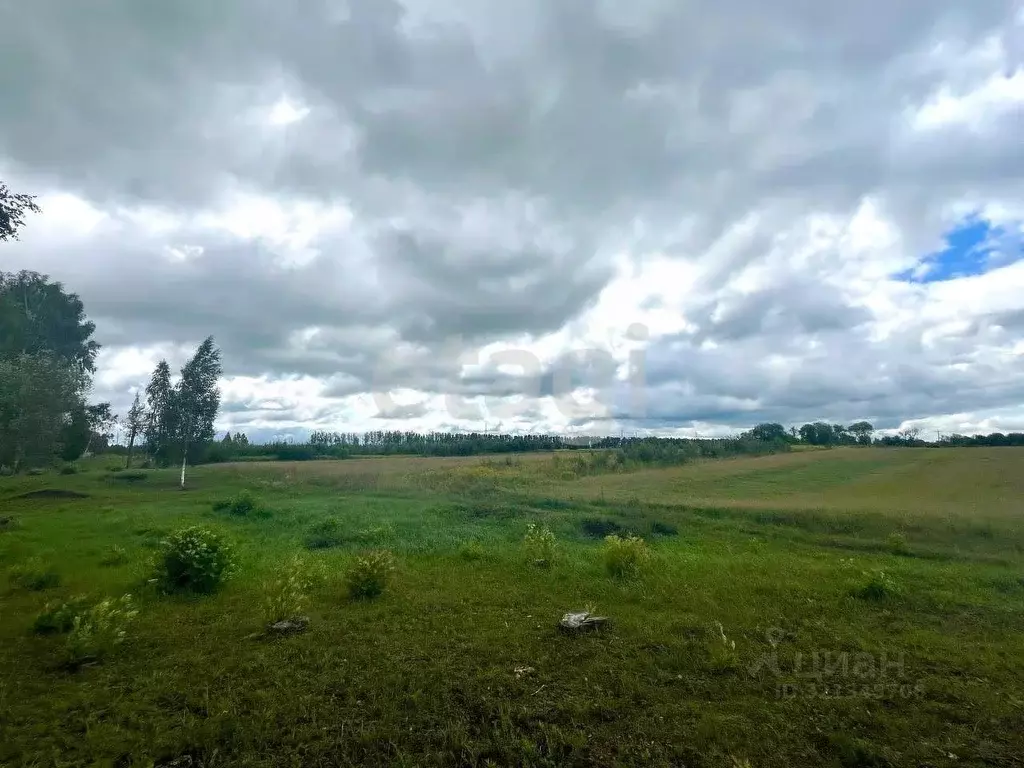Участок в Брянская область, Выгоничский район, Кокинское с/пос, с. ... - Фото 2