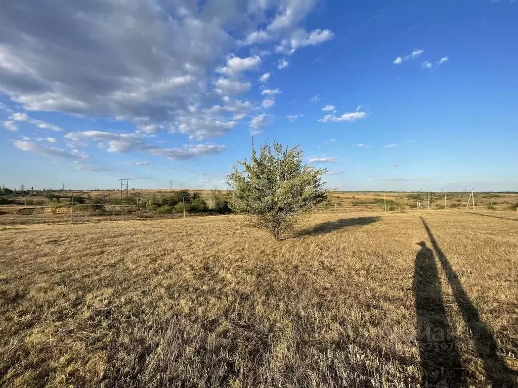 Участок в Ростовская область, Аксайский район, Мишкинское с/пос, Киров ... - Фото 2