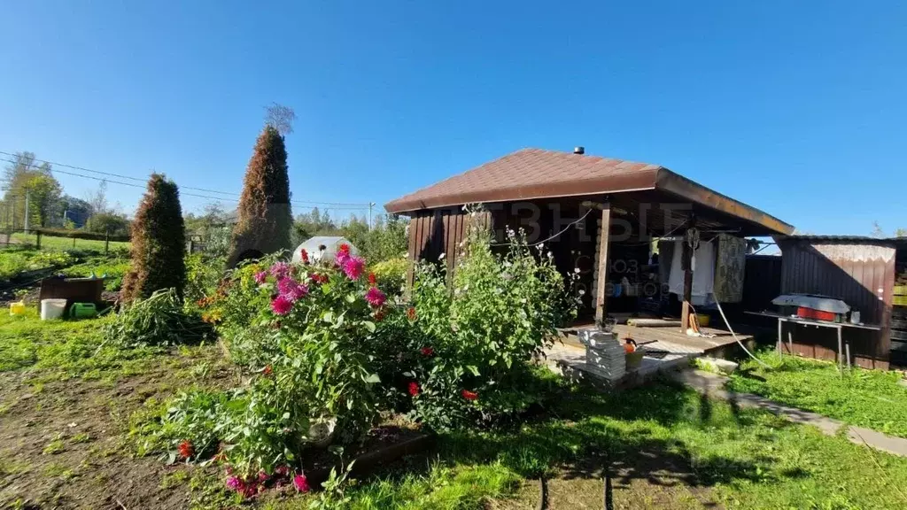 Дом в Новгородская область, Демянский муниципальный округ, с. Лычково ... - Фото 1