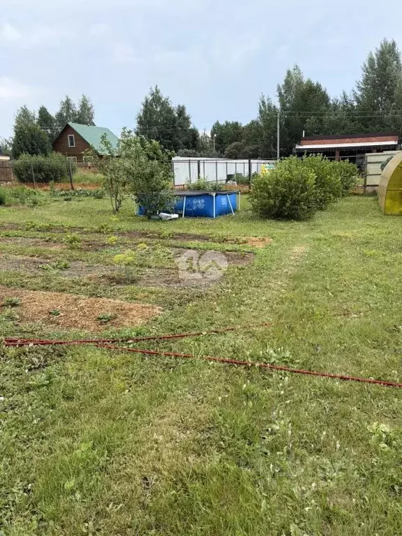 Участок в Новосибирская область, Колыванский район, Рыбачий СНТ 294 ... - Фото 1