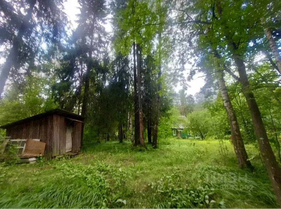 Участок в Московская область, Пушкинский городской округ, ... - Фото 1