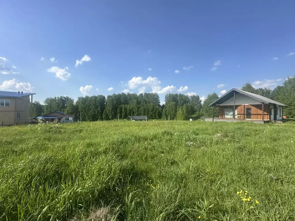 Участок в Новосибирская область, Новосибирский район, Раздольненский ... - Фото 1