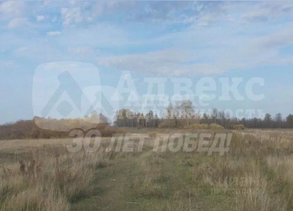 Участок в Курганская область, Курган Тополя мкр, Весенняя ул. (54.0 ... - Фото 1