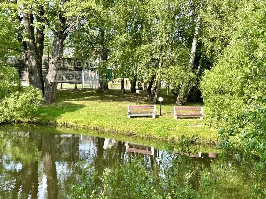 Участок в Москва Лесное озеро кп, 46/2 (12.0 сот.) - Фото 2