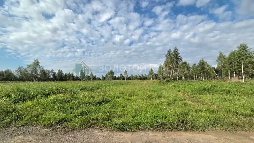 Участок в Московская область, Талдомский городской округ, с. ... - Фото 1