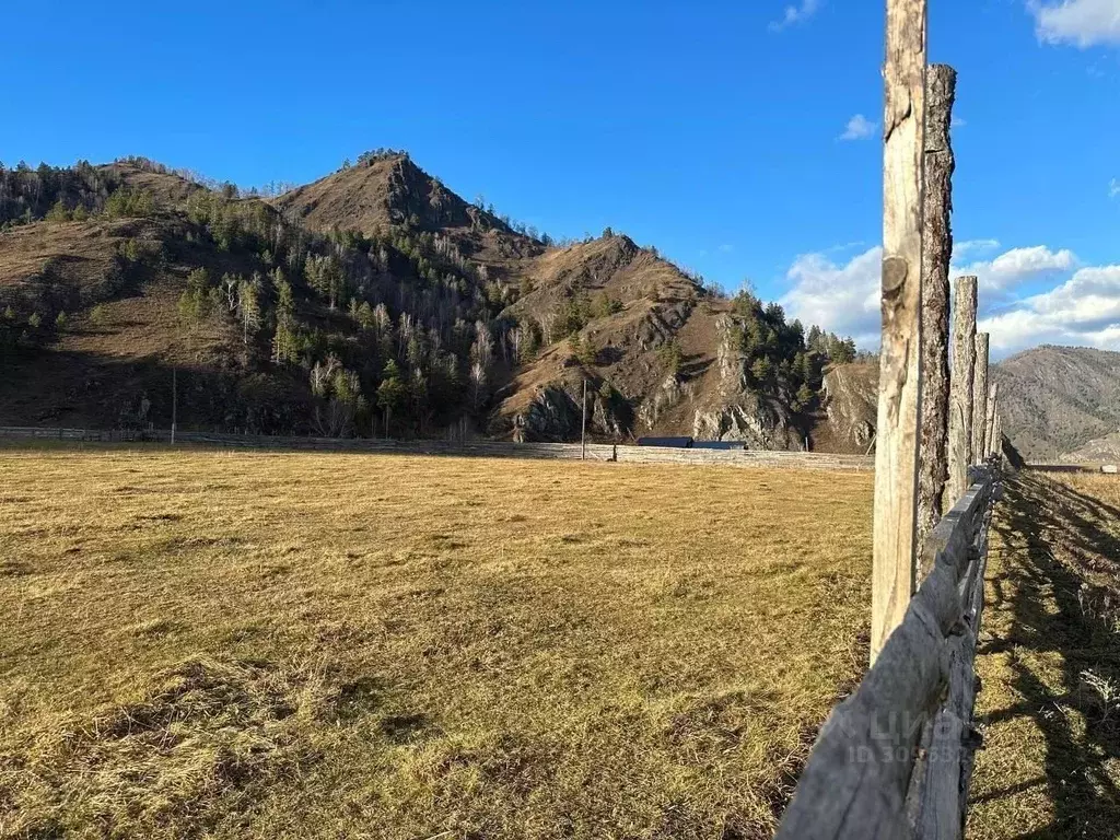 Участок в Алтай, Чемальский район, Рублевка ДПК ул. Садовая (10.49 ... - Фото 1