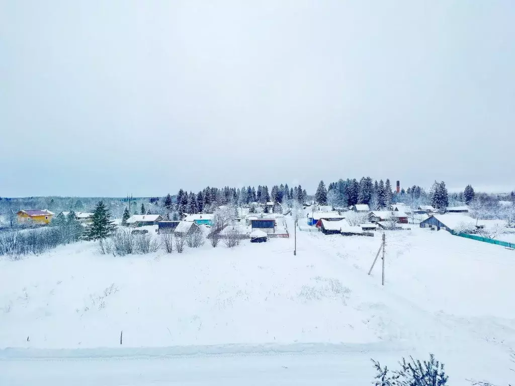 Участок в Вологодская область, д. Алексино (Кипеловский сельсовет)  ... - Фото 1