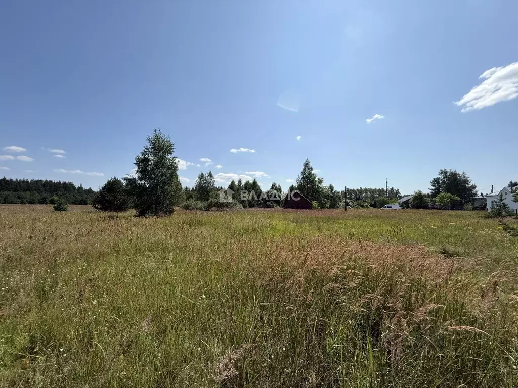 Участок в Московская область, Егорьевск муниципальный округ, д. ... - Фото 1