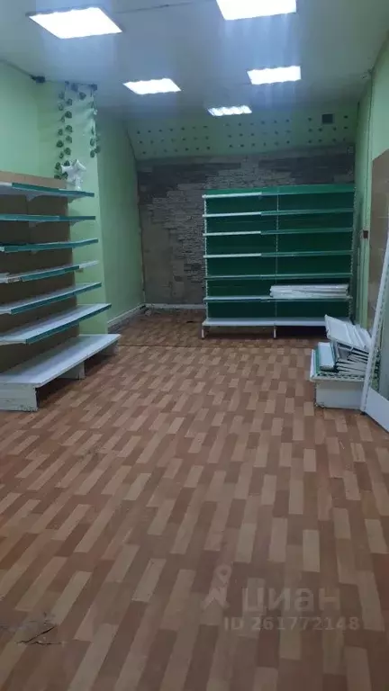 Помещение свободного назначения в Свердловская область, Екатеринбург ... - Фото 2