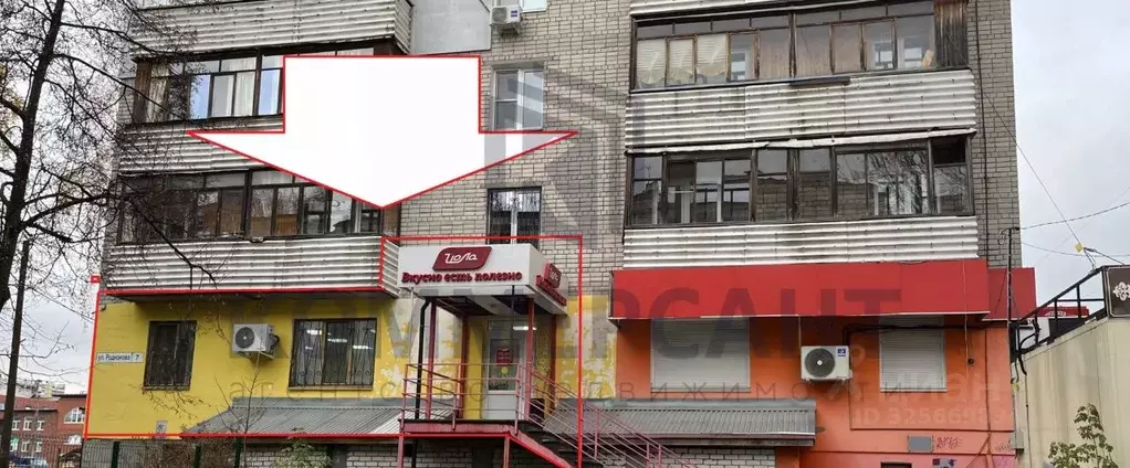 Торговая площадь в Нижегородская область, Нижний Новгород ул. ... - Фото 1