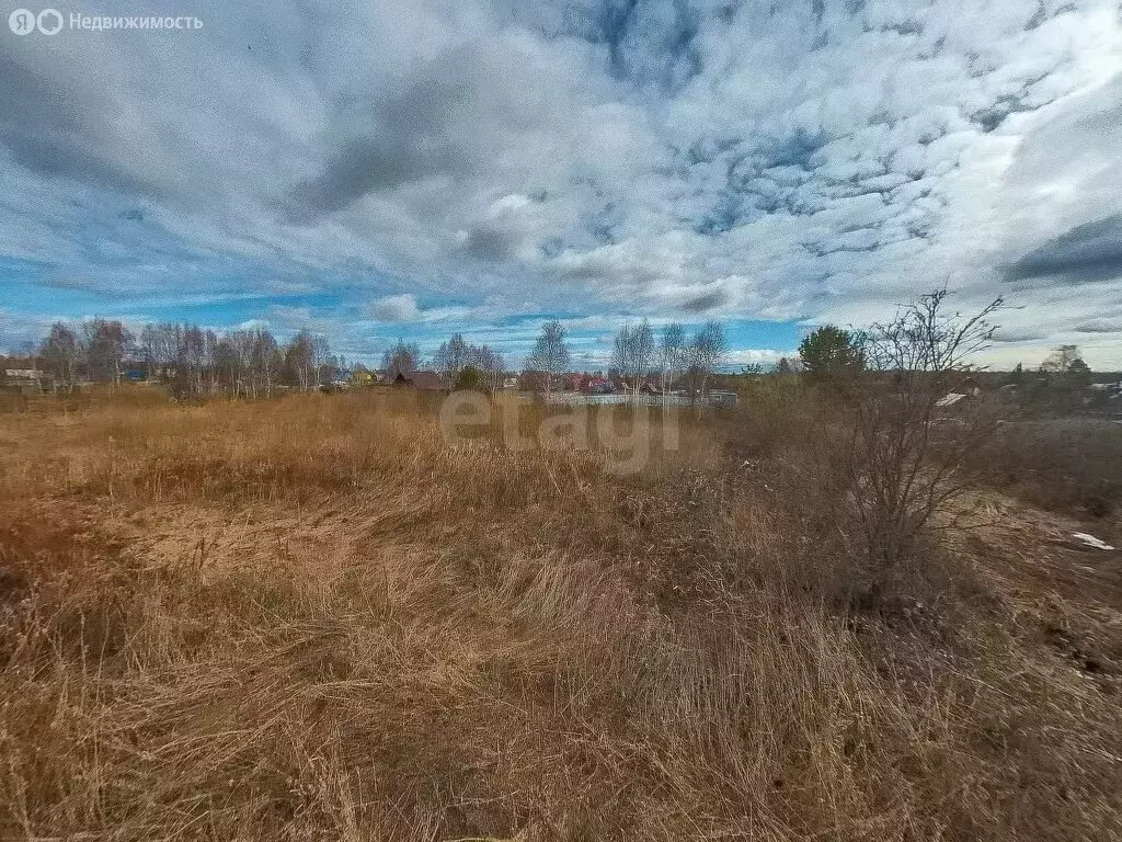 Участок в Нижнетавдинский район, товарищество собственников ... - Фото 0