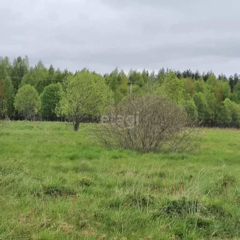 Участок в Псковская область, Печорский муниципальный округ, д. ... - Фото 1