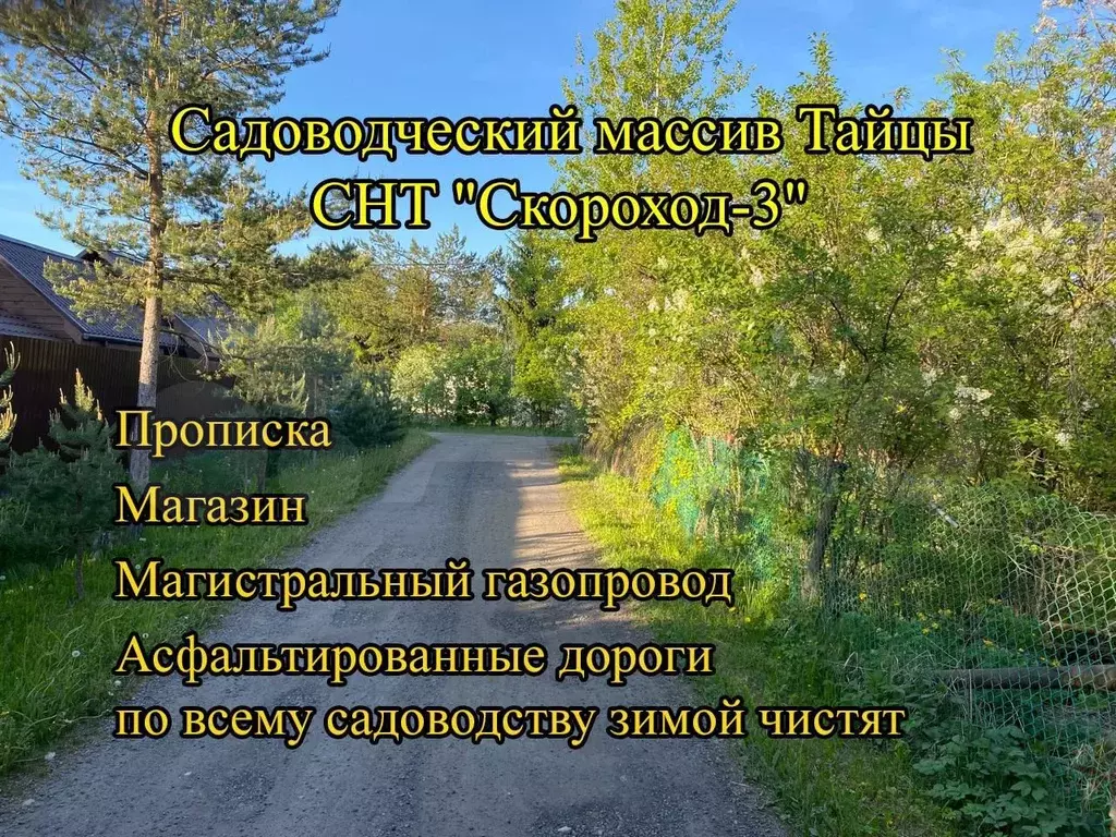 Дом 63 м на участке 7,3 сот. - Фото 1