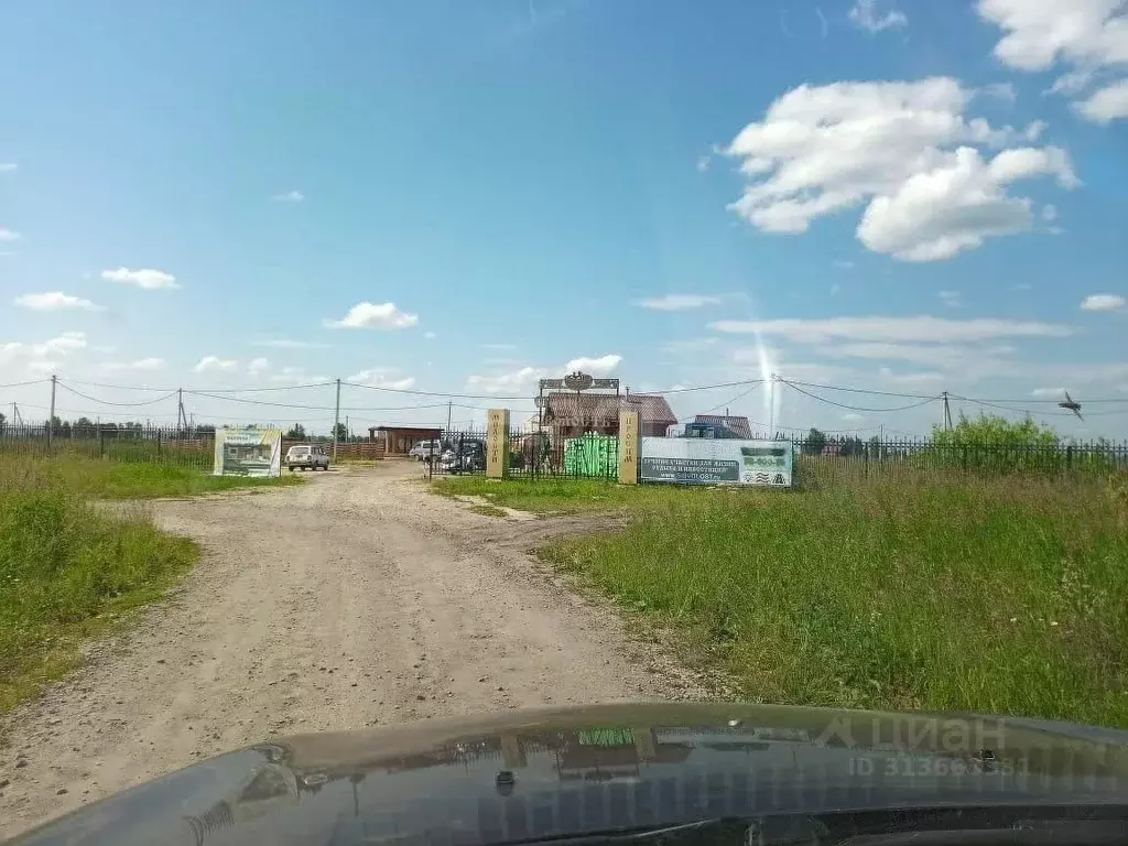 Участок в Новосибирская область, Колыванский район, Сибирская Волость ... - Фото 0