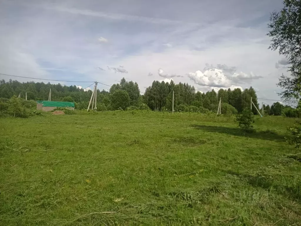 Участок в Московская область, Клин городской округ, с. Борщево  (6.0 ... - Фото 2