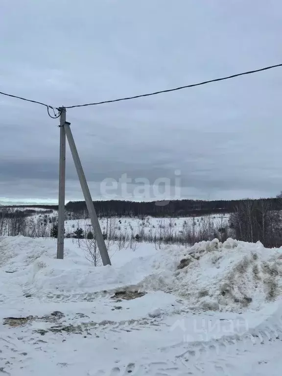 Участок в Нижегородская область, Богородский муниципальный округ, д. ... - Фото 1