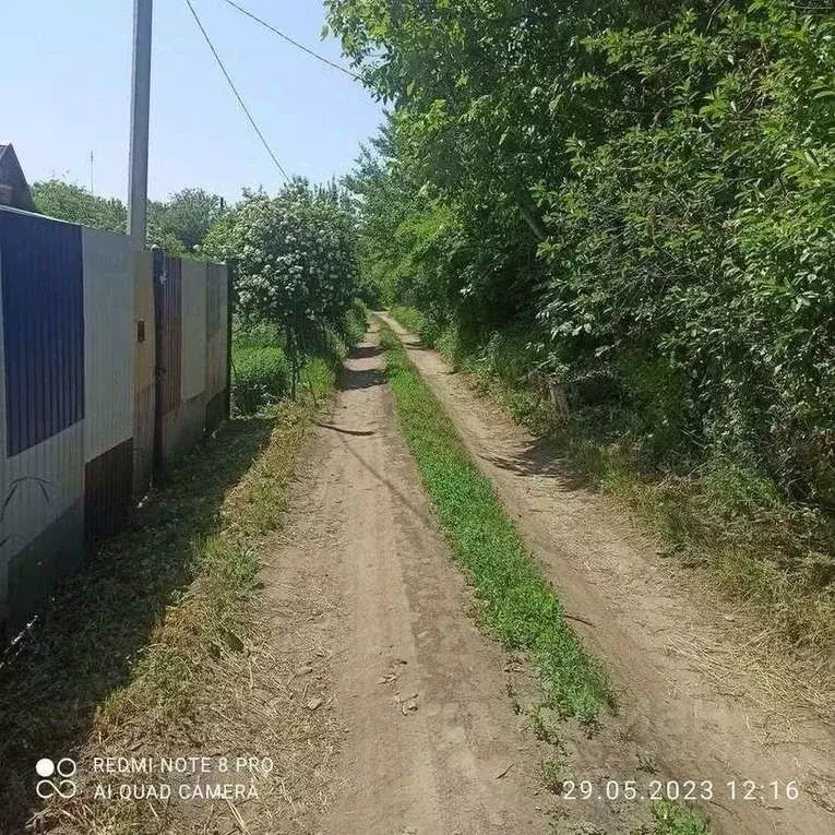 Дом в Белгородская область, Белгородский район, Никольское с/пос, с. ... - Фото 0